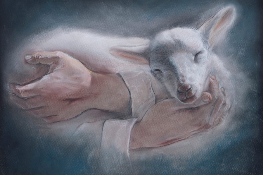 Click for larger image